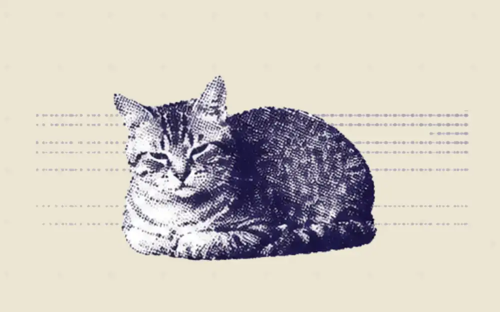 ChatGPT alternatives with persistent memory comparison