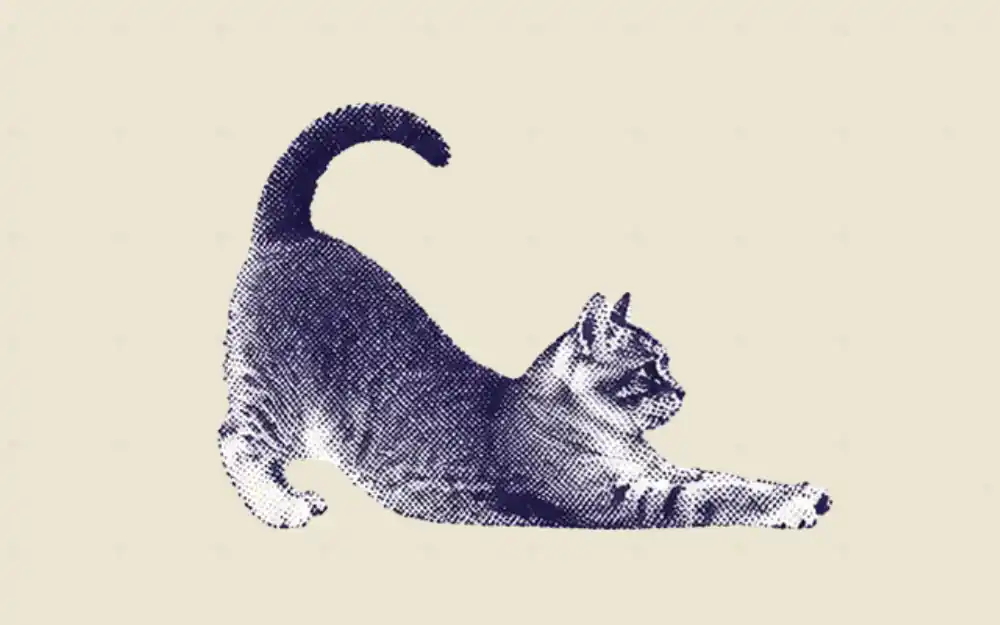 How to convert text to HTML with AI — 5-step guide